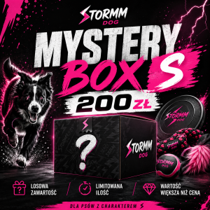 MYSTERY BOX S