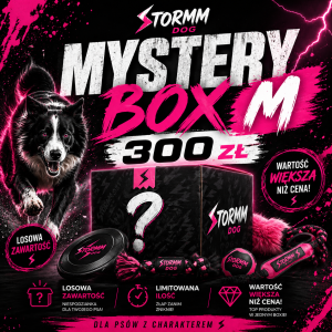 MYSTERY BOX M