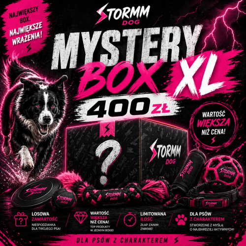 BOX XL